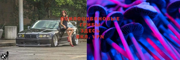 ешки Магадан