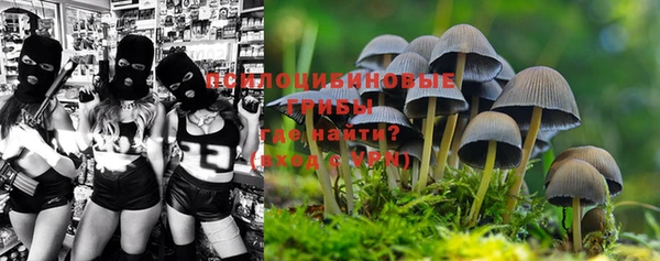 молекула духа Липки