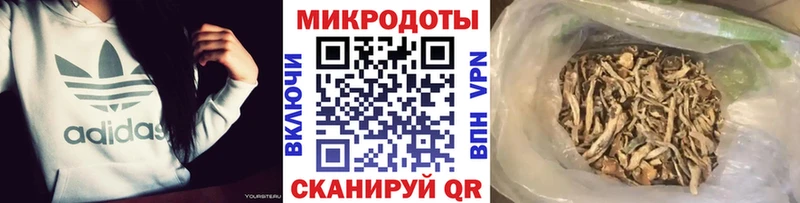 Галлюциногенные грибы Psilocybine cubensis  как найти закладки  Набережные Челны 